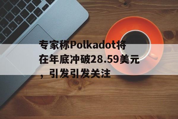 开元体育官网-专家称Polkadot将在年底冲破28.59美元，引发引发关注的简单介绍